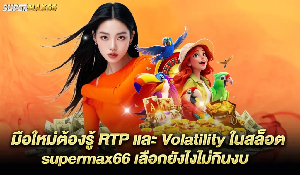 มือใหม่ต้องรู้ RTP